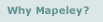 Our Company - Why Mapeley?